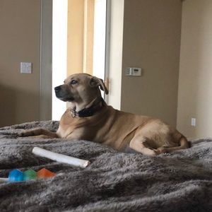 Meet your Posher, Sandra